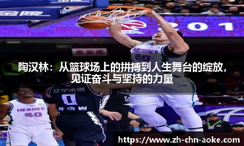 陶汉林：从篮球场上的拼搏到人生舞台的绽放，见证奋斗与坚持的力量